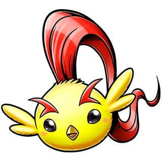 Chicchimon