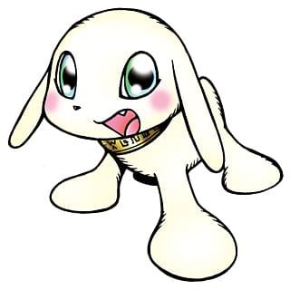 Salamon