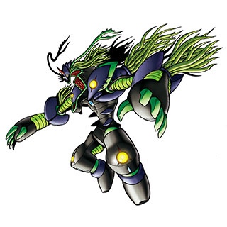 algomon6