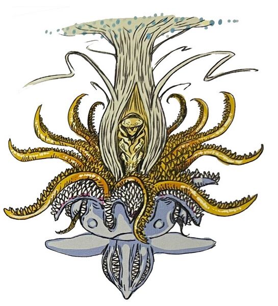 Big Ukkomon Open Big Ukkomon Open